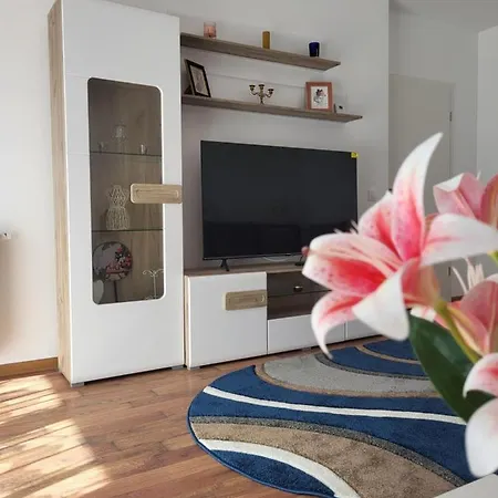 Apartment C&l Brasov