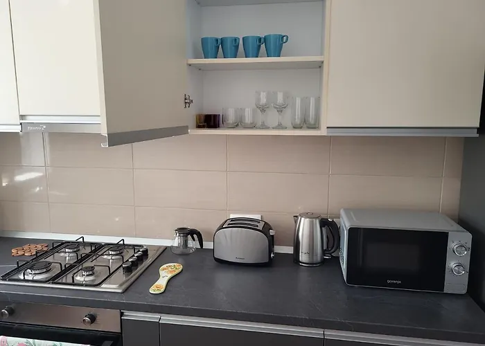 C&l Apartment Brasov